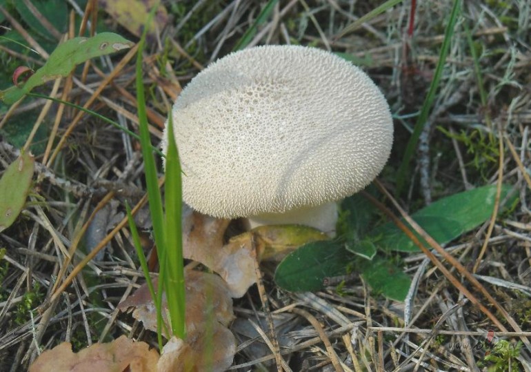 S�eeeeeene? nav seeeeene:))