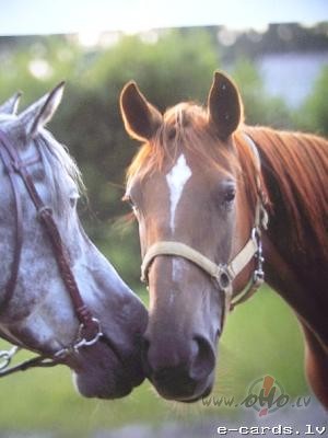 &nbsp;Lai viss ne�um�tu, tad ejiet un parociet&nbsp; zemi, ...