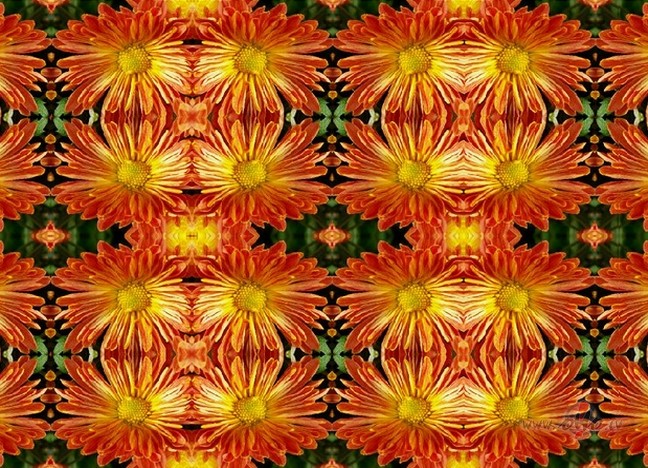 Un gaisma atsp�d�s..