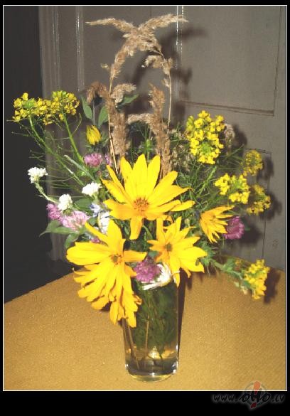 it k� septembris esot...