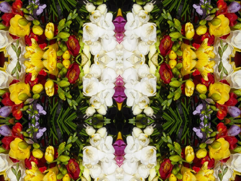 Vai skaistums gl�bs pasauli?