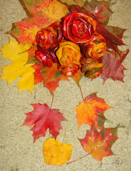 Da�reiz es&nbsp; gatavoju gerberas