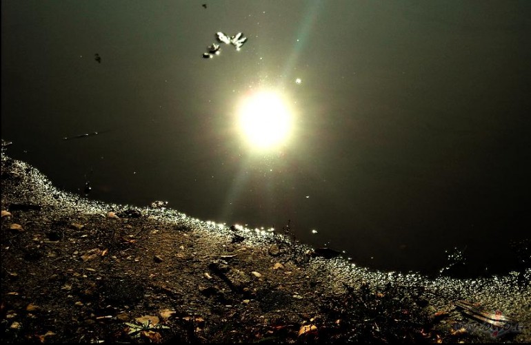 Saule atsp�d pe���...