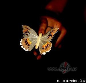 Dievs paties�b� ir d�sns � vi�� bie�i sab�da kop� 