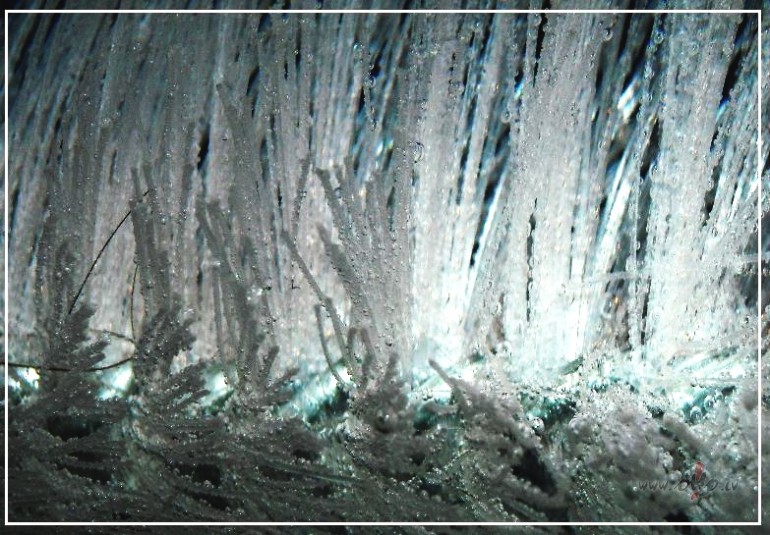 Ar� �ajos laikos skaistums rodas