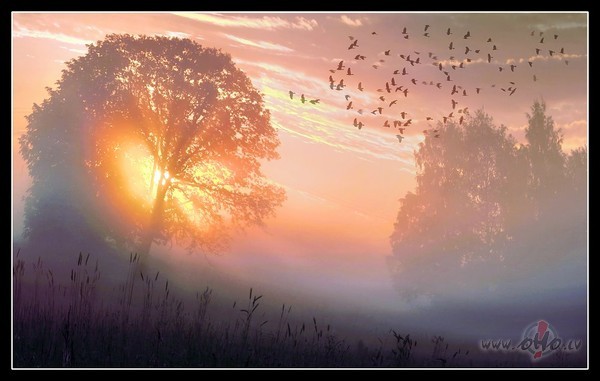 Es tie��m nezinu,vai lapas krit�s v�j�vai dom�s k�ds,ka saucu vi�u ...