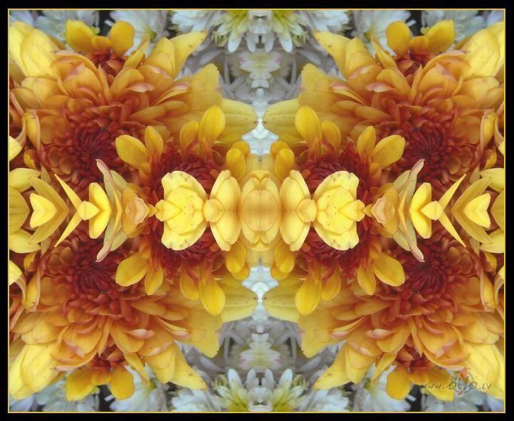 Rudens kr�sas un fant�zijas...