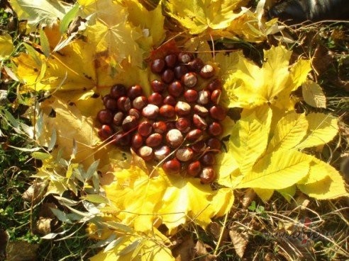 Kad nok���u pie Tevis esvarb�t jau tum�a nakts tad b�s,bet varb�t ...