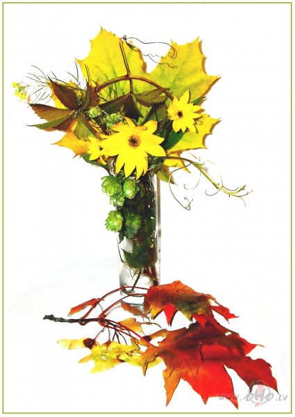 Mazliet no rudens kr�s�m