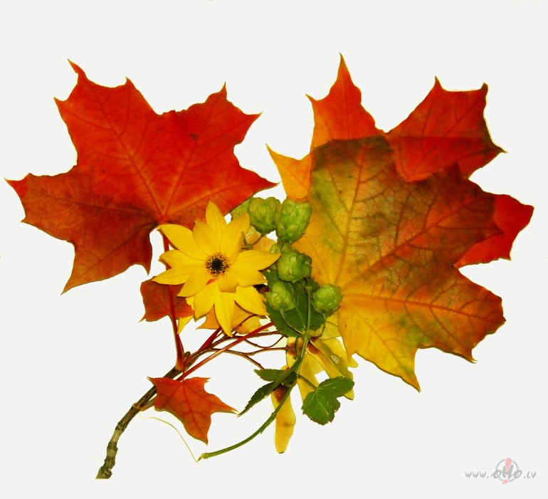 Rudeni - j�, aukstumu - n�!