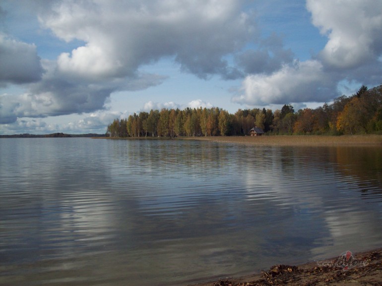 Jauki pavad�ta ned��as nogale.For�as atmi�as b�s par Vidzemes ...