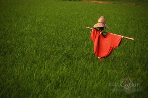 :)) Piektdienaaaaaaaa