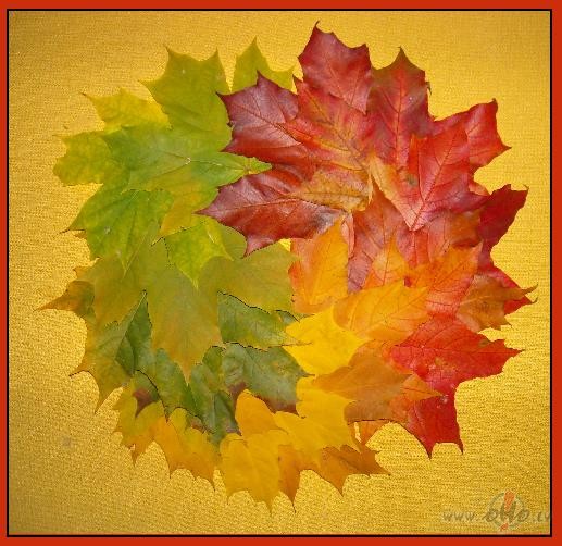 Rudens lapu vainadzi��