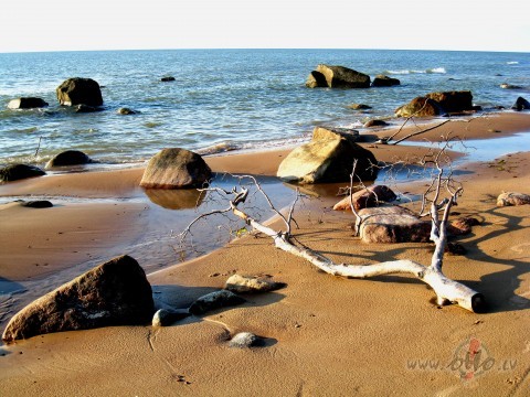 Tie kas nebaid�s mirt - 
nodz�vo vissilg�k. 
Tie, kas negrib ...