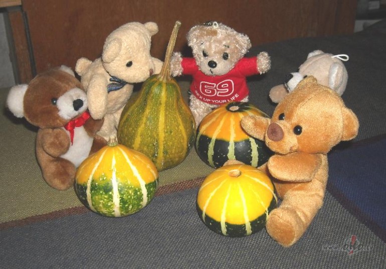 �irbuk�i un l��i:)