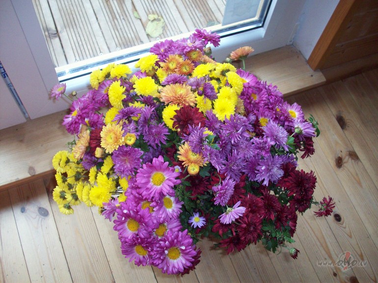 Bija iemesls.Dab�ju pu�es un pirti.Vai otr�di.:)