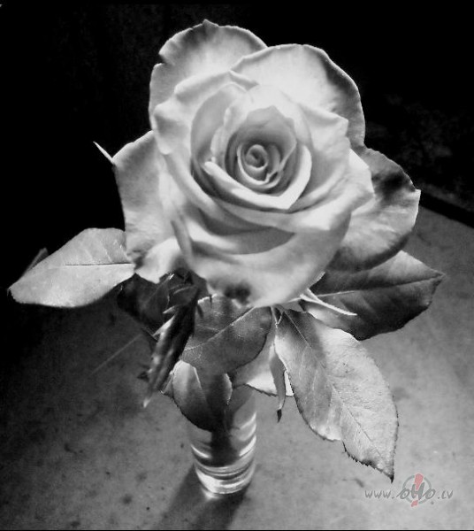 es tevi paz�stu jau sen