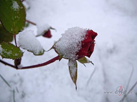 M��iniet dab�t to, ko gribat, cit�di jums n�ksies v�l�ties to, ko ...