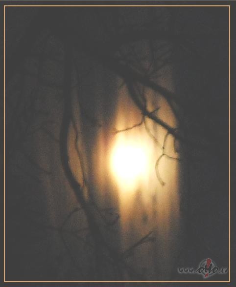 R un D� mot�vs...