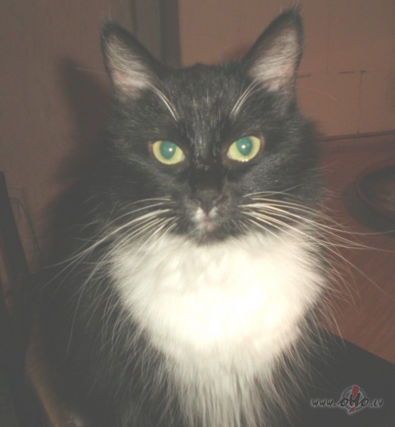 13., piektdiena, brr:))