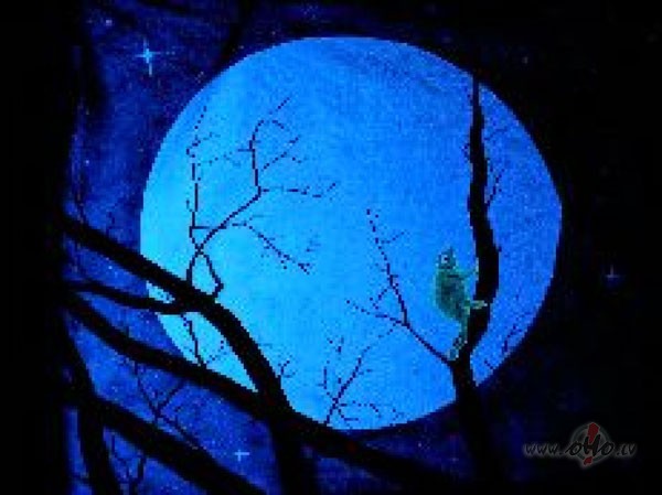 Moonlightgirl posveshchajetsja! :)))