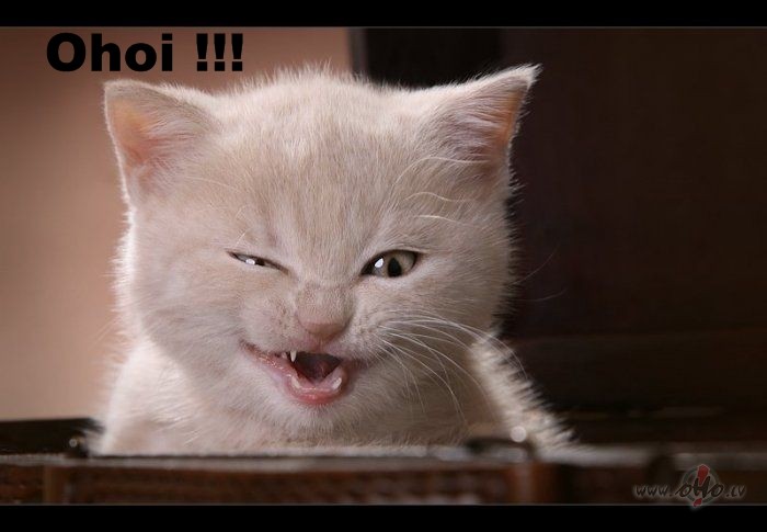 Nedaudz Patroksnosu !!! SWEET !!!