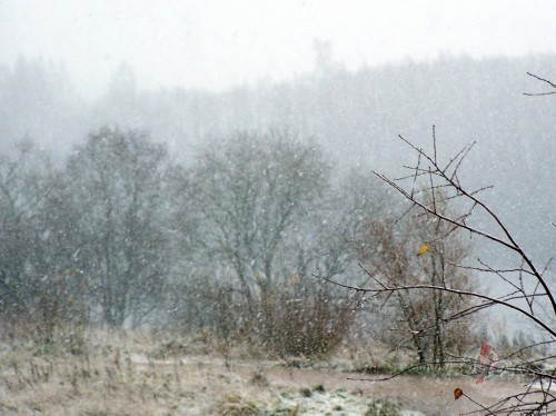 T� noska�a ir netverama,Ko decembris mums sird� au�,T� pl�st no ...