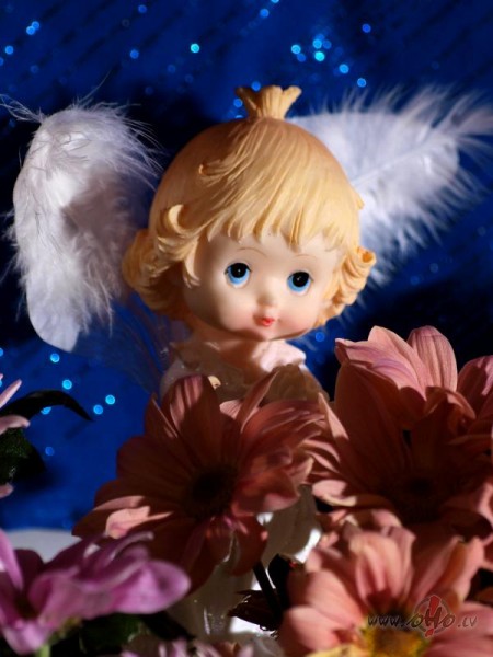 kad miedzi�� n�k!!