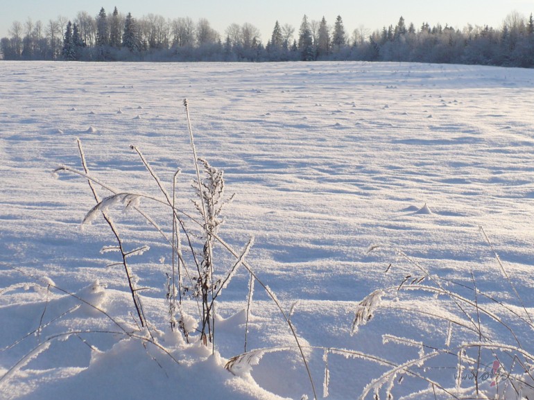 Cik balta, balta sv�tdiena ar sniegu un ar dom�m gaisto��m. Vai �aut ...