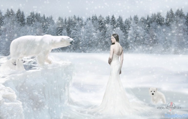 Tiem kas vel negul  (260 on -line ) !!!!!