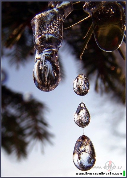 �odien pavasaris n�kziemai j�iet atp�t�ledus kust tad �tri ...