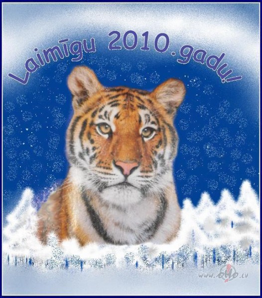 2010. Divi nulle viens nulle