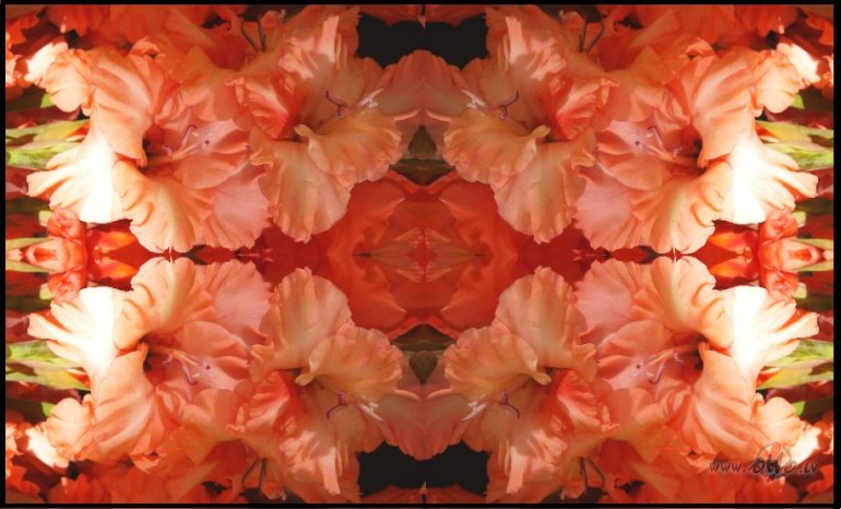 Varb�t j�, varb�t n�