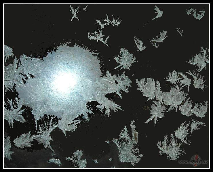 Ledusziedi. Turpin�jums