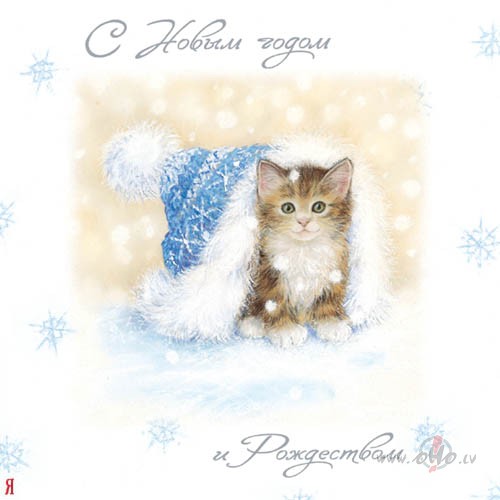 Svieiciens  Pareizticigo Ziemassvetku vakara !!!