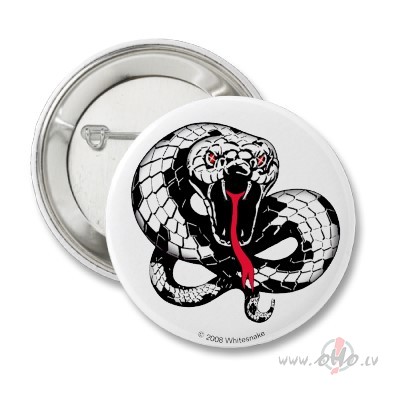 WHITESNAKE     *****LOVE AIN`T NO STRANGER  *****  / 1984 /