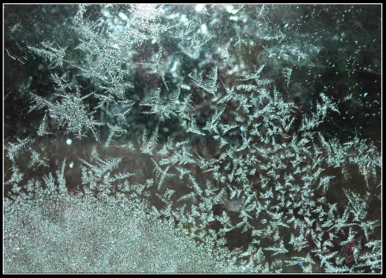 Sniega savaldzin�tie /2.turpin�jums/