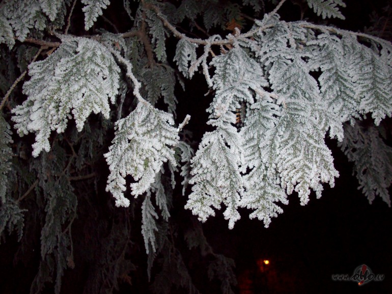 Vakar san�ca mazliet pa V�rma�d�rzu pastaig�t.Tik skaisti bija balti ...