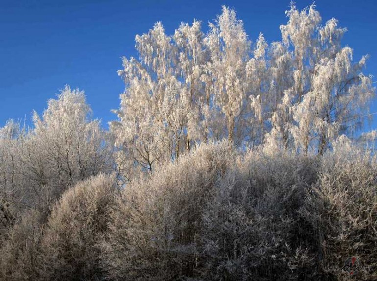 t� pat nav veca paties�ba jaun�s ska��s