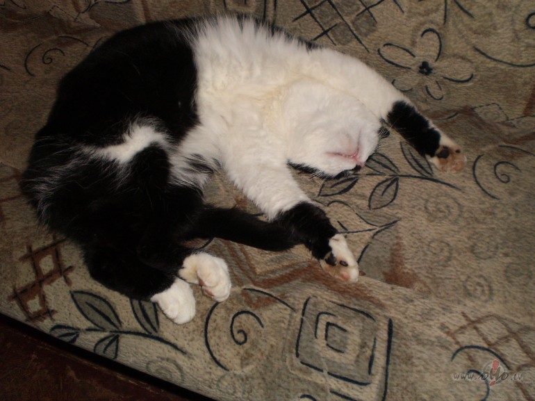 Arlabunakti!! Saldus..    Matia Bazar = Ti Sento =