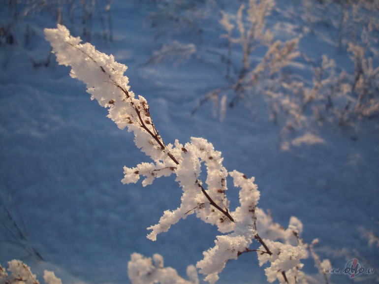 Baltas smiltis un viena smilga,
t�l�k-klajums liess.
�� dz�ve jau ...