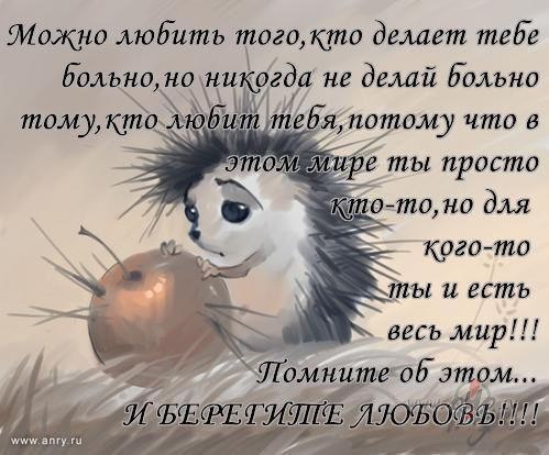A moshj...