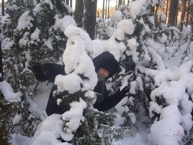 Labi b�t karalim kuram blakus gudra karaliene.1. Edward Maya feat ...