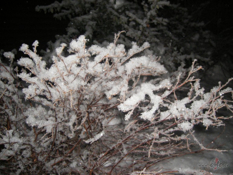 b�s jau labi, b�s jau silti..