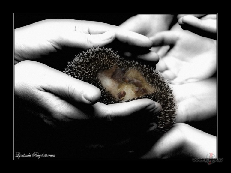 Mees esam...