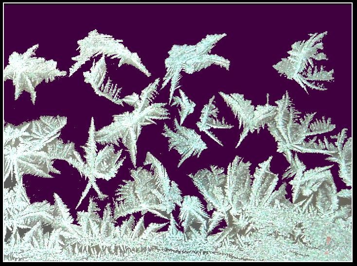 Velt�jums dzejniecei El�nai Z�l�tei /1898-1955/