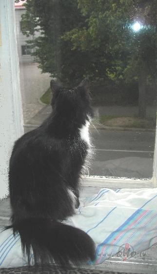 Par pieradin�t�bu