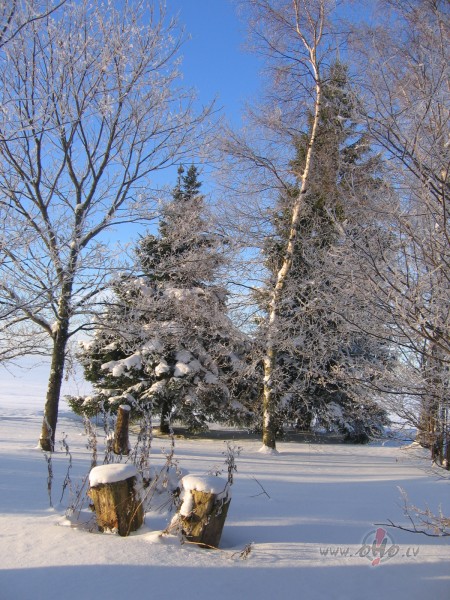 ...par me�a zv�ri�iem...:)