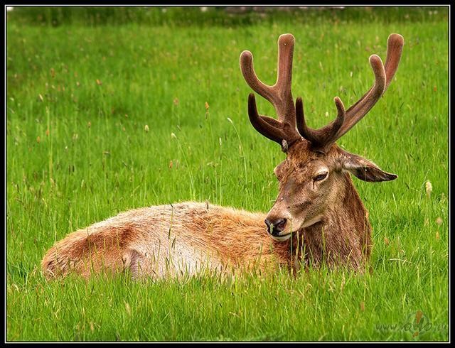 UZAICINU PIEDALIITIES TESTAA!