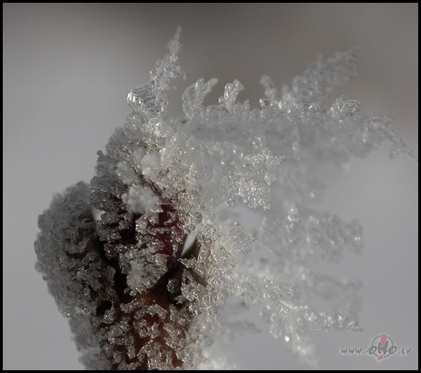 V�l tikai mirklis ziemas skatuun v�su piesk�rienu vaigamtad ...